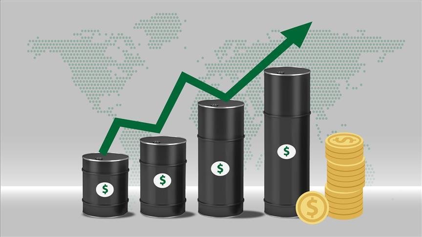 What Drives Daily Crude Oil Price Fluctuations?